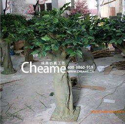 廣東深圳成美仿真秋茄樹生產(chǎn)廠家 園林綠化工程的優(yōu)質(zhì)選擇