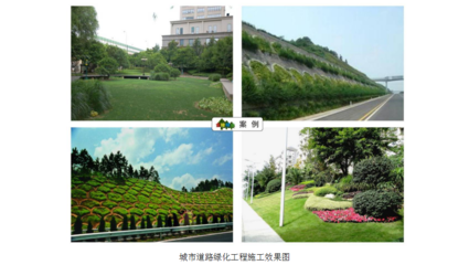 慶陽金陵園林綠化工程 打造城市生態綠肺的藝術與科技融合