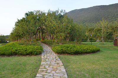 江蘇大陽(yáng)山國(guó)家森林公園植物園二期景觀綠化工程二標(biāo)段 打造生態(tài)與美學(xué)的和諧畫卷
