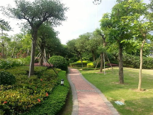 園林養(yǎng)護(hù)指南 從專業(yè)手冊(cè)到高清視覺的全面指引