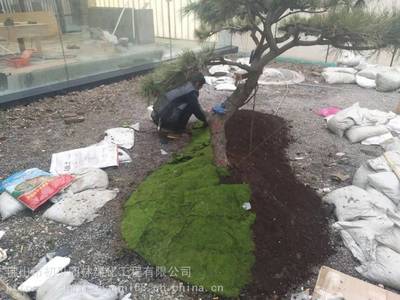 初見園林 專業(yè)園林綠化工程與精湛別墅園林施工