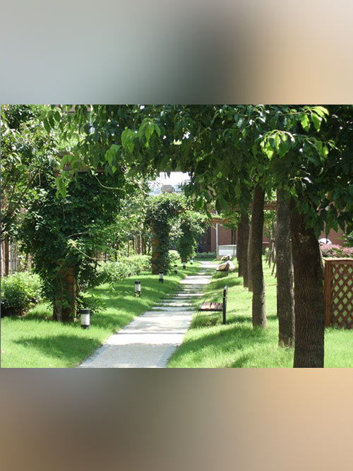 園林綠化服務公司 打造自然與人文交融的綠色空間