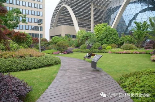 都市綠洲，云端花園——杭州國際博覽中心項目屋面園林綠化工程獲2016年度杭州市優秀園林綠化工程綜合組金獎紀實