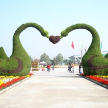 深圳市萬年春園林綠化公司 打造城市生態綠洲的專業力量