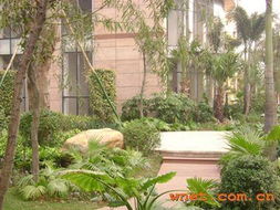 深圳市巴比倫環境園林藝術 薈芳園園林景觀建設工程與產品展廳