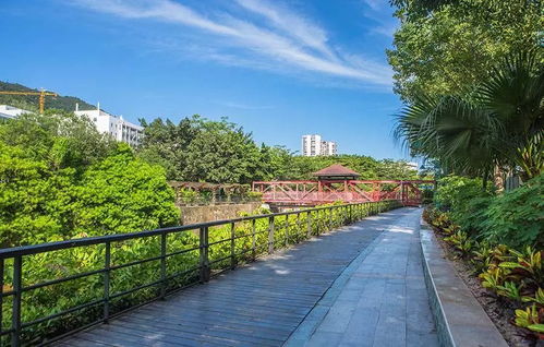 資質取消后，園林綠化工程質量如何保障？